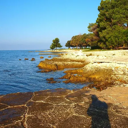Für 3 Personen Ca 48 Qm In červar-porat, Istrien Istrische Riviera * Poreč